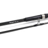 Удилище карповое DAIWA Regal - X 2300 5055161829019